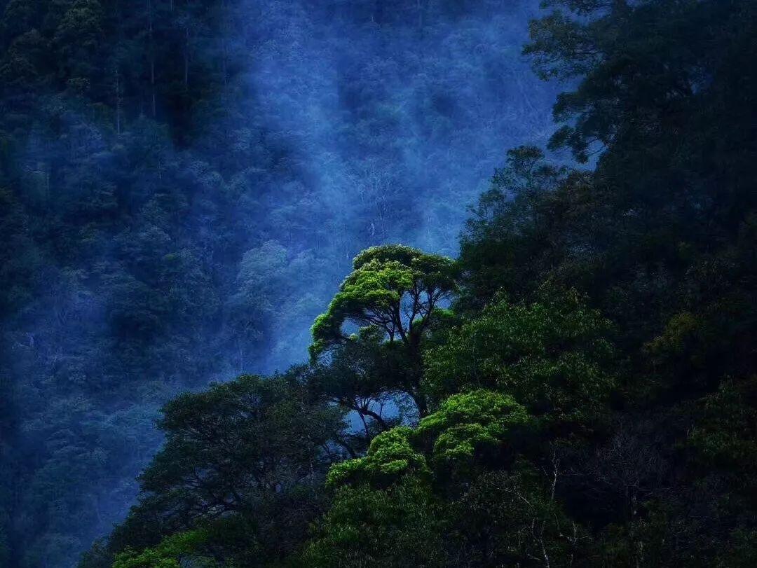 考试的时候遇到大姨妈是什么体验?——发现与分享的红迪社区